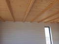 20230601_175303.jpg