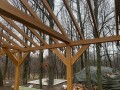 IMG-20241129-WA0006.jpg