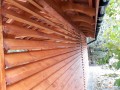 20191009_123931.jpg