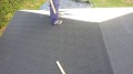 20160604_110050.jpg